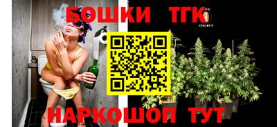 дживик Сланцы