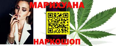 индика Славгород