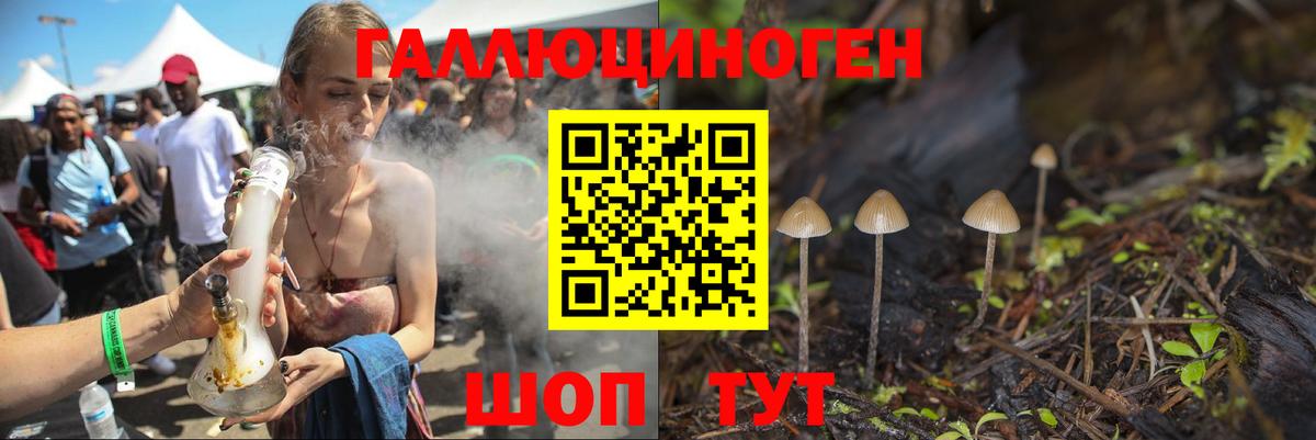Псилоцибиновые грибы Cubensis  Вход с VPN  Нижнекамск 